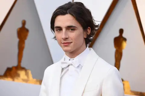 Timothée Chalamet’s Best Red Carpet Looks