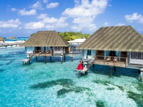 8 Hobbies Wealthy Millionaires Yearn For